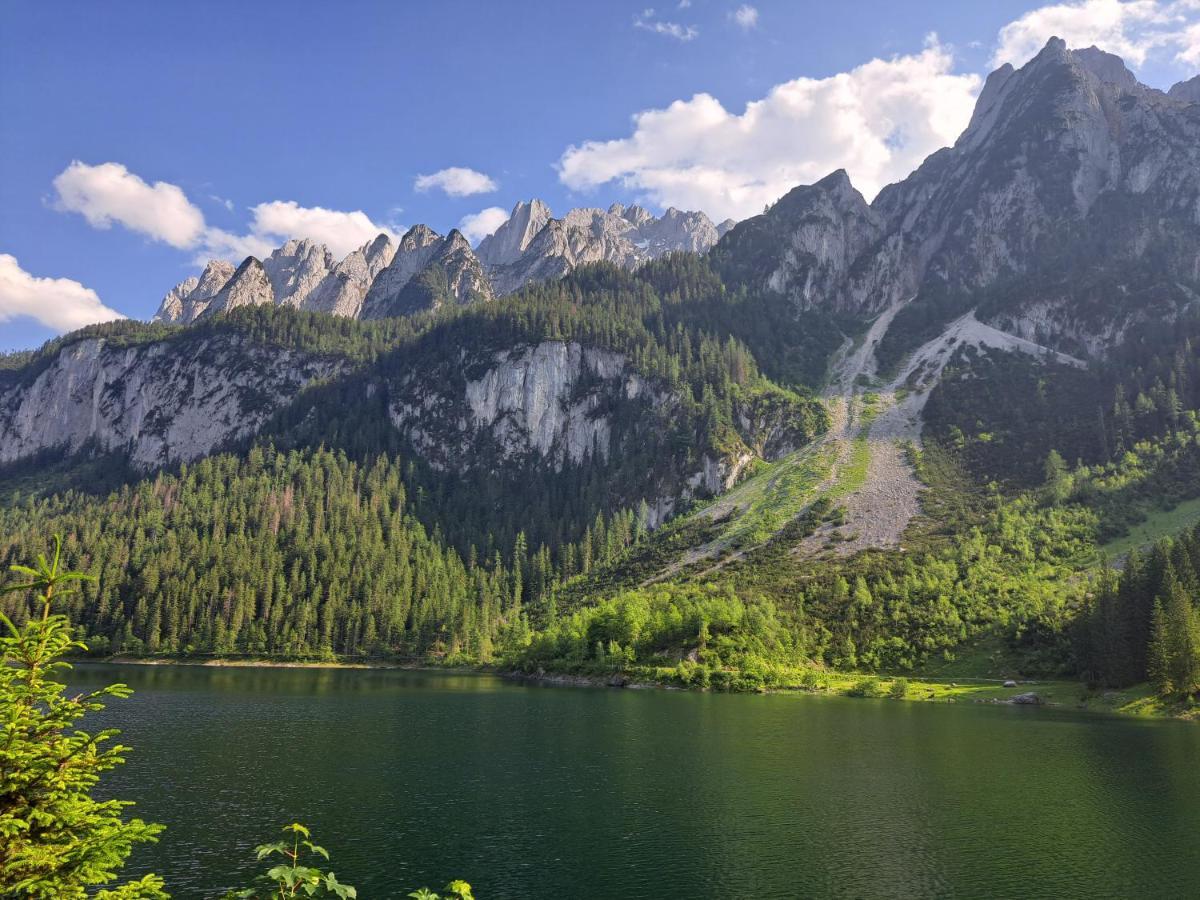 Gasthof Waldwirt Russbach am Pass Gschütt Kültér fotó